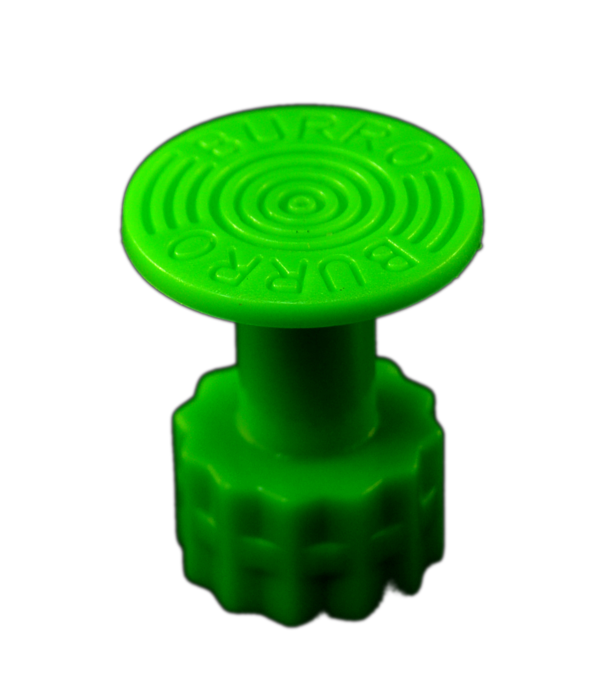 Burro Cactus Green 16mm Round
