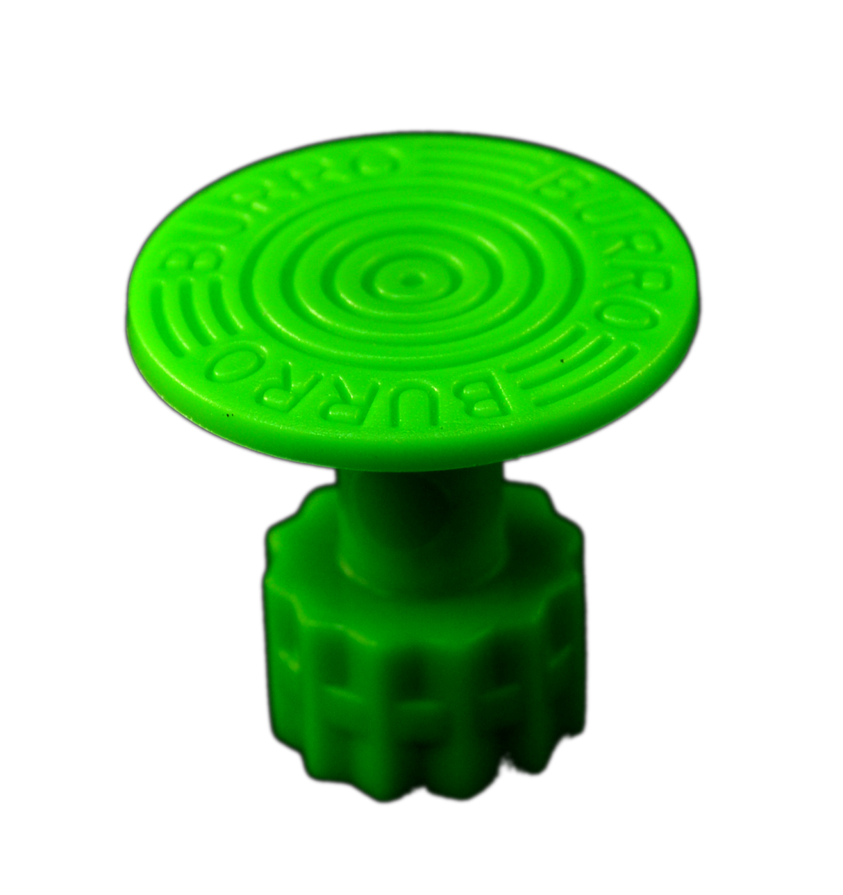 Burro Cactus Green 21mm Round