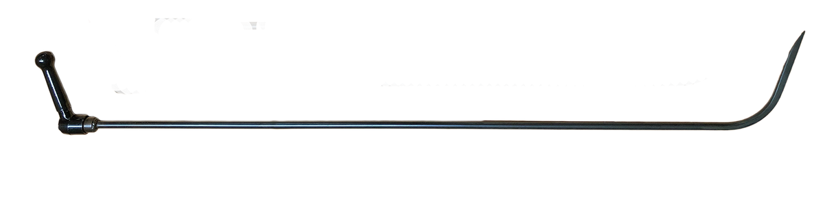 THE OSTRICH