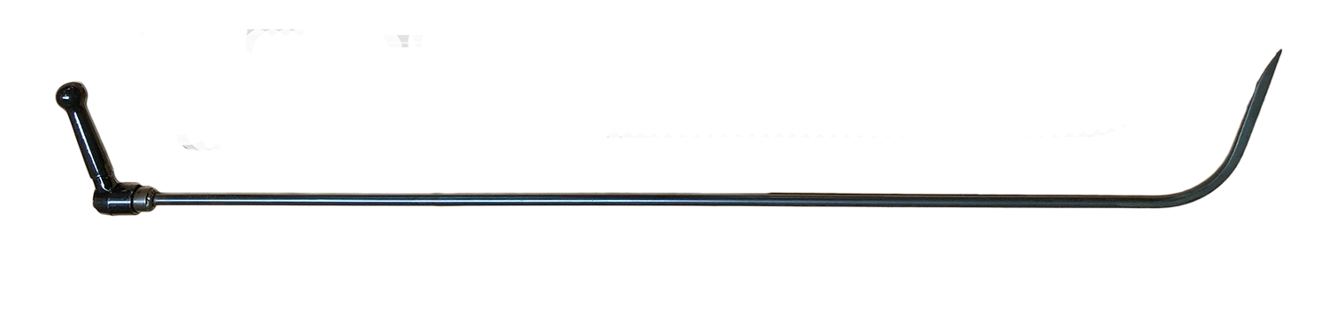 THE OSTRICH
